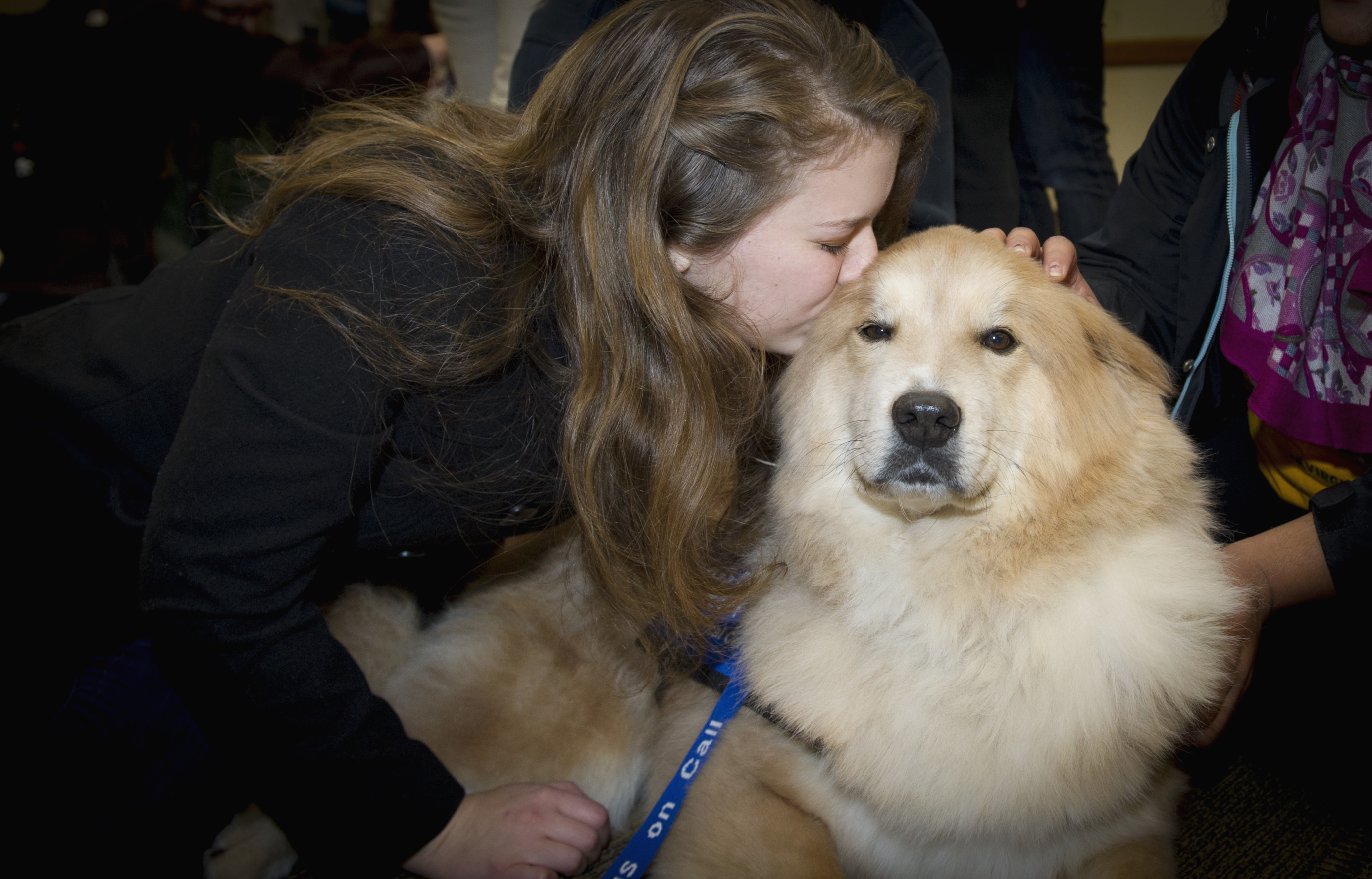 December 2016 Paws for Stress held at The Student Commons