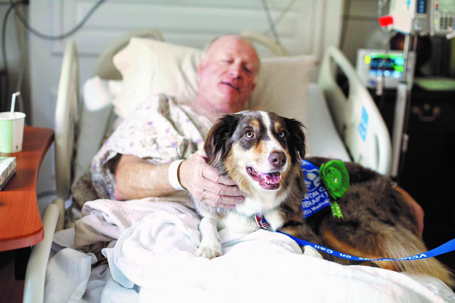 Petco Foundation's Helping Heroes Grant supports The Center for Human-Animal Interaction