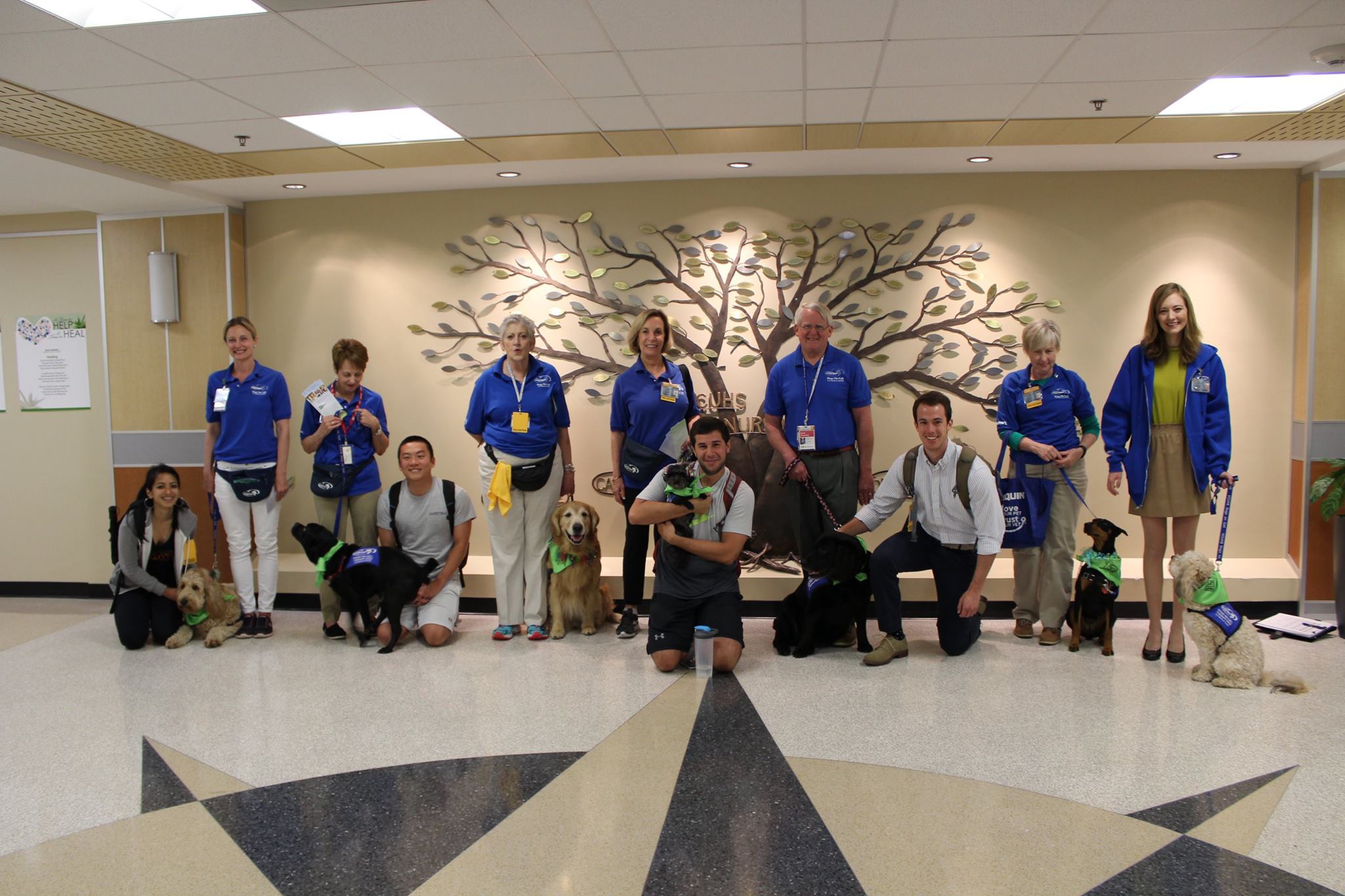 Blue and Green Day with VCU Hume-Lee Transplant Center
