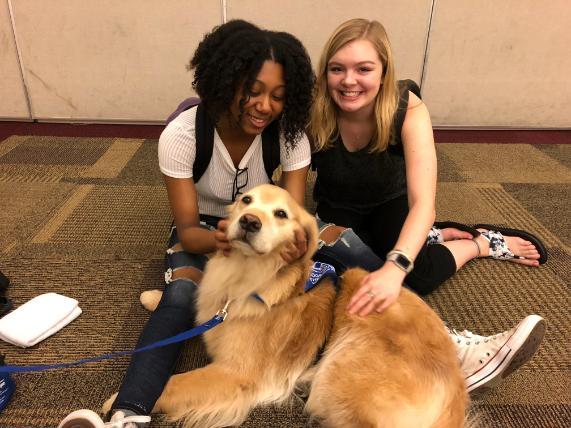 Dogs On Call therapy dog Mickey, a golden retriever, leans on the legs of two kneeling students who are smiling as they pet Mickey.