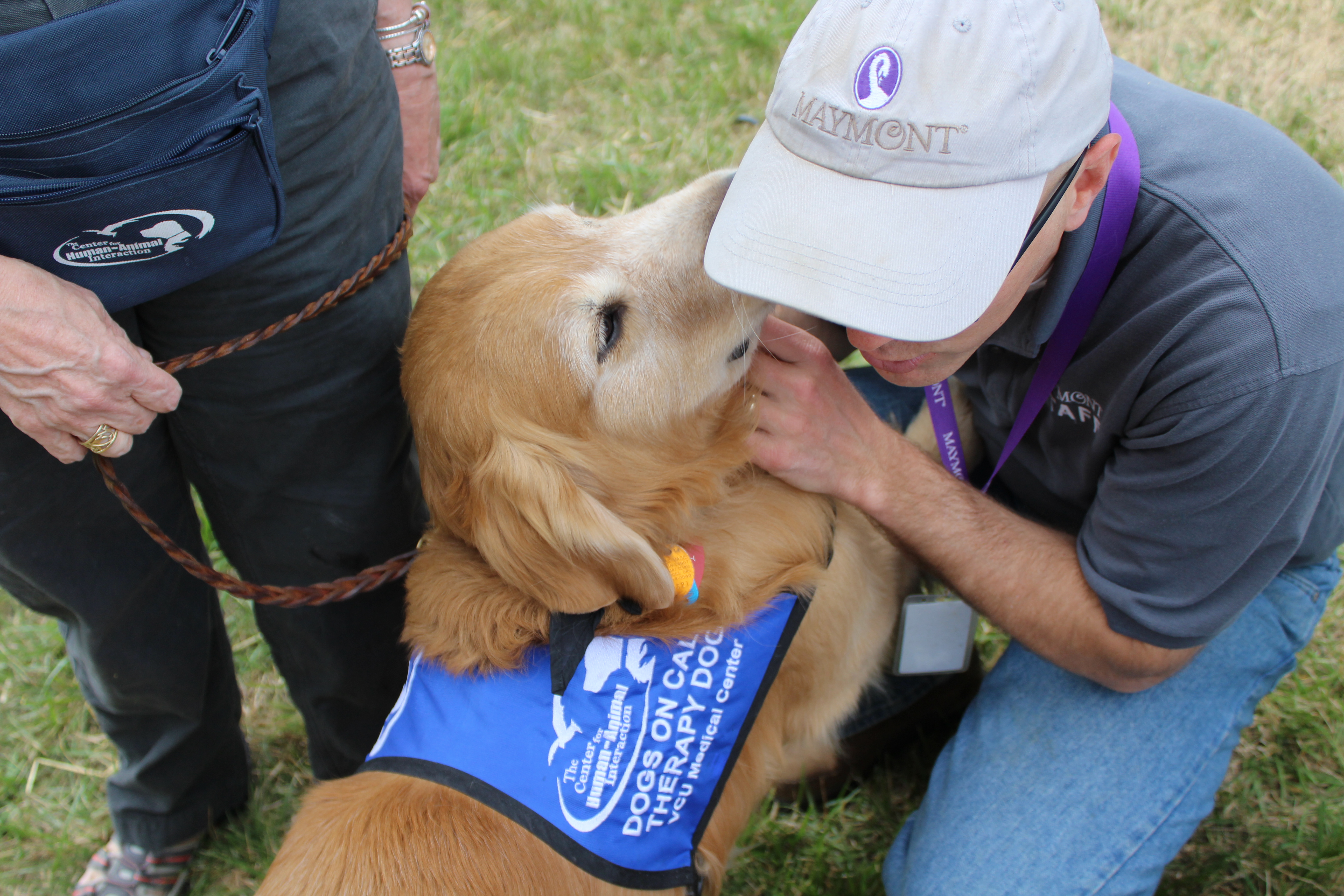 Dogs On Call therapy dog Dusty, a golden retriever, gives affection to a Maymont staff member at Maymont's Children's Farm for the Grand Reopening.
