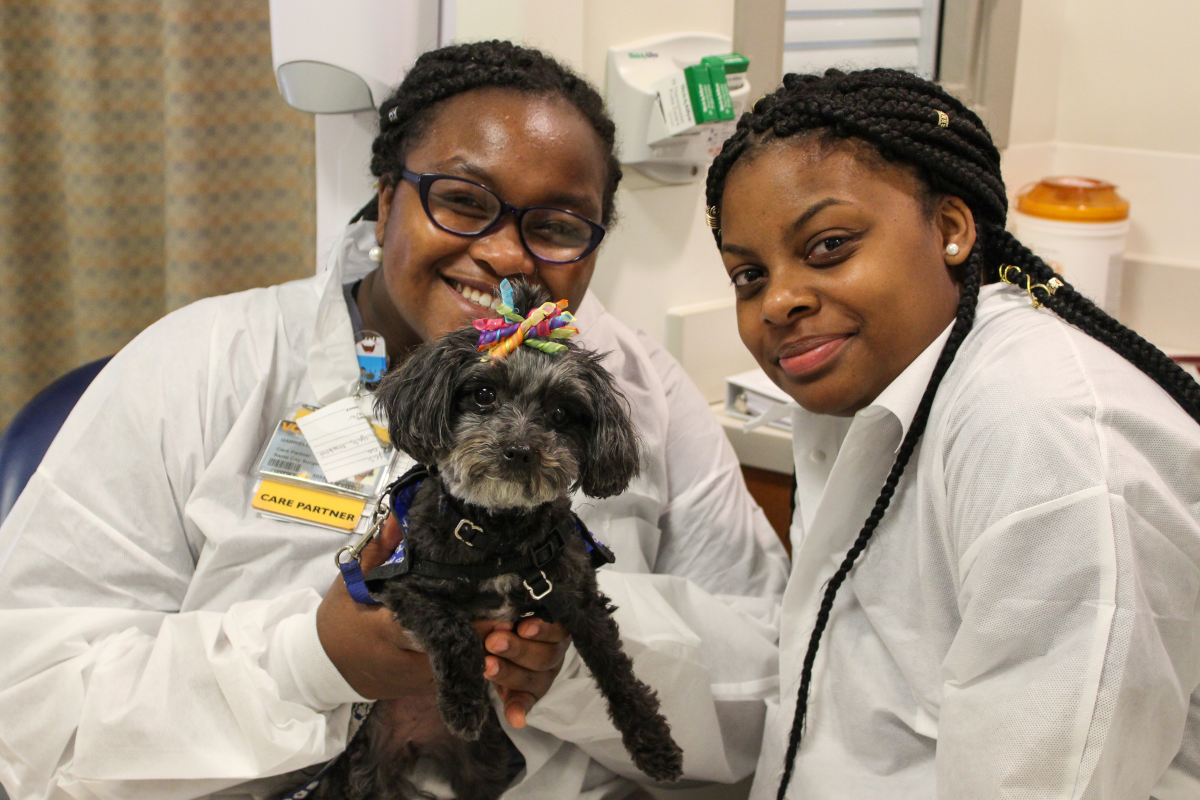 Two medical professionals wearing scrub covers smile while holding up a tiny, tiny multipoo Dogs on Call dog.
