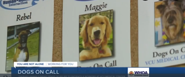 Dogs On Call Featured on WTVR Channel 6 News