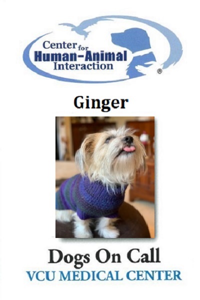 Ginger  (Active)