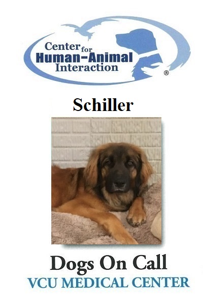 Schiller  (Active)