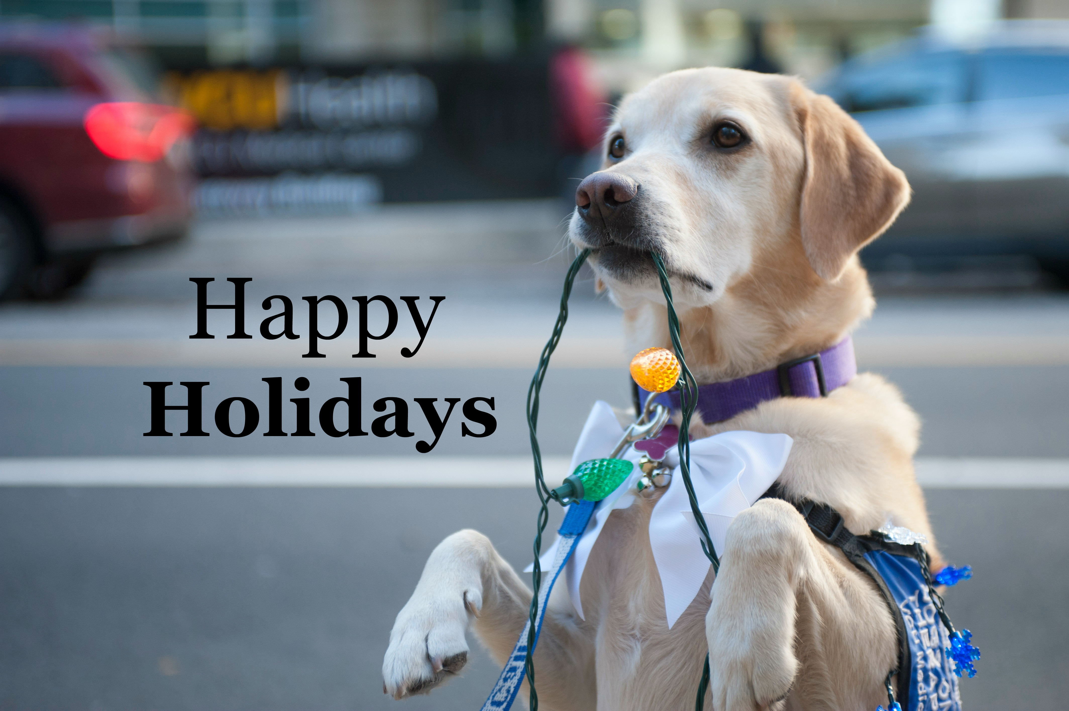 Happy Holidays from The Center for Human-Animal Interaction