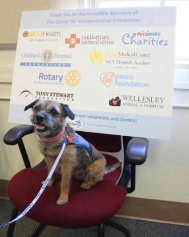 Dogs On Call therapy dog Gabbi, a border terrier with a brown and gray coat who is sticking her tongue out slightly, sits in front of The Center for Human-Animal Interaction's Sponsor Board. The full text and sponsors are mentioned in the text of the post.