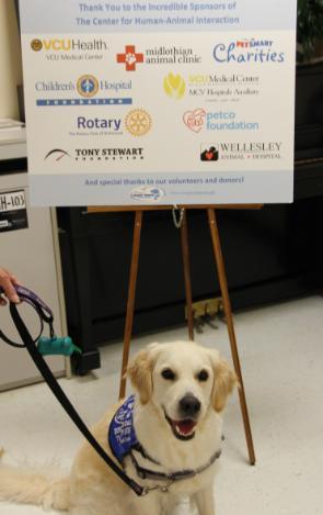 Dogs On Call therapy dog ZuZu, an English Cream golden retriever, sits politely with a happy expression in front of The Center for Human-Animal Interaction's sponsor board. A list of specific sponsors is in the text above this image.