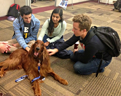 Paws for Stress held at The Student Commons on Monroe Park Campus.